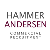 Logo: Hammer Andersen