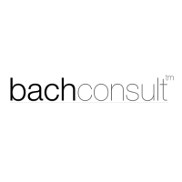 Logo: Bach Consulting Group