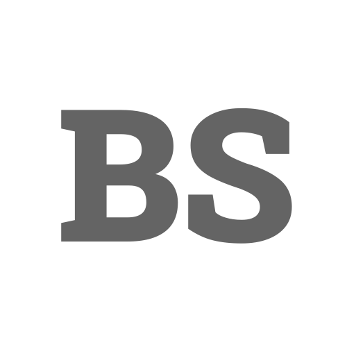 Logo: BSB Svendborg/Domea
