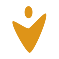 Business College Syd - logo