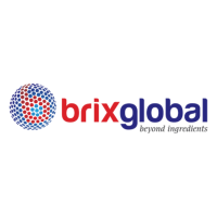 Logo: Brixglobal Europe ApS