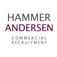 Hammer Andersen