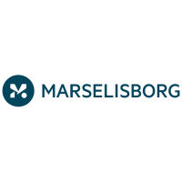 Marselisborg - IT Services - logo