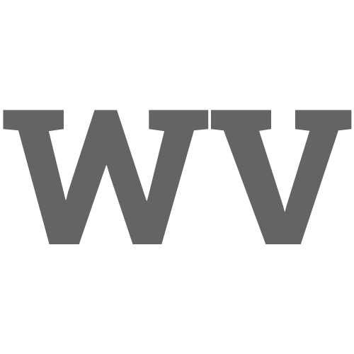 Logo: Wexer Virtual